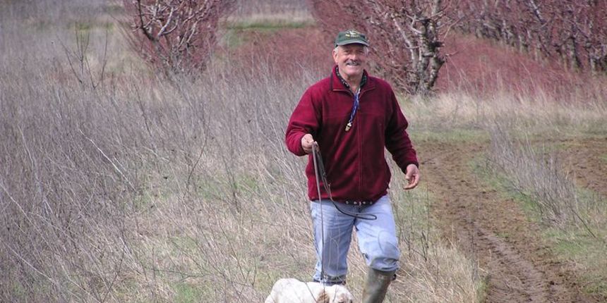 Međunarodna utakmica pasa ptičara (Foto: J. Prskalo) Međunarodna utakmica pasa ptičara (Foto: J. Prskalo)