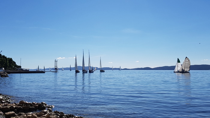 Zadarska Koka 2016. 22. listopada 2016. Foto: Mladen Malik Zadarska Koka 2016. 22. listopada 2016. Foto: Mladen Malik