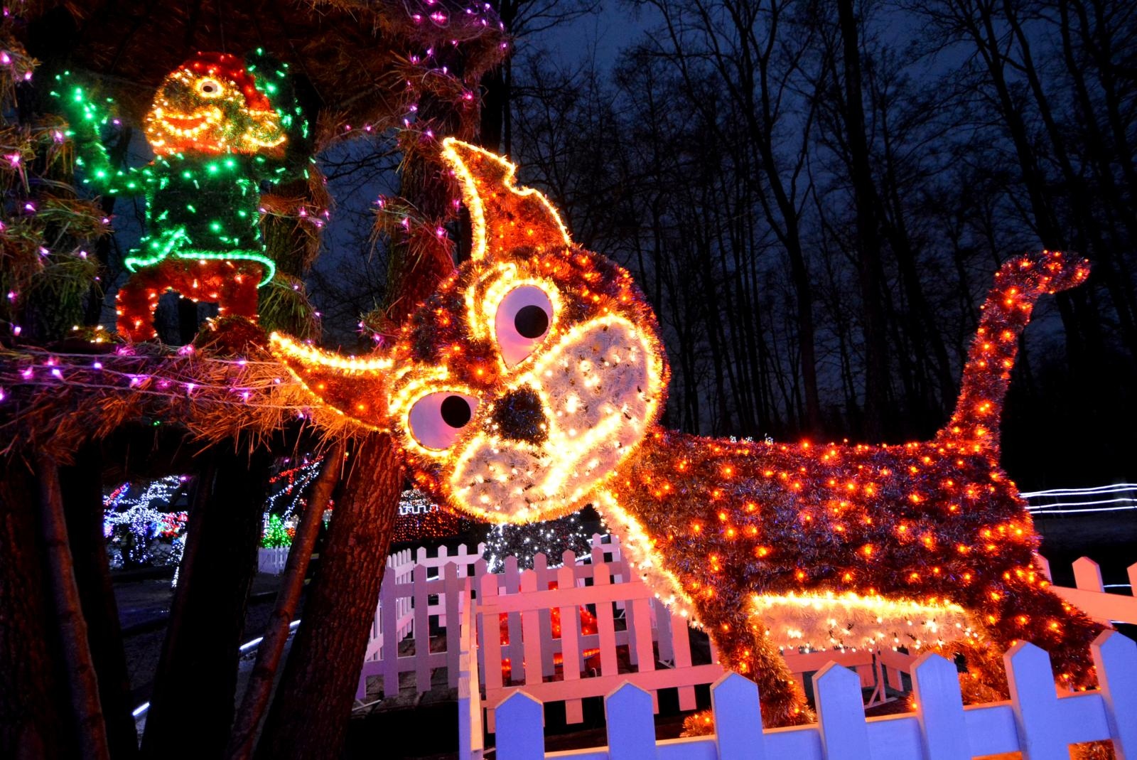 Uz 2,5 milijuna lampica zasjala ovogodišnja božićna bajka u Salajlandu Uz 2,5 milijuna lampica zasjala ovogodišnja božićna bajka u Salajlandu