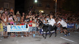 Image 1088967 (auto)