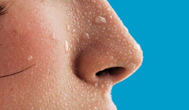 Lice ( foto:metro-portal.hr )