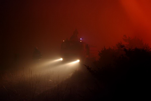 Vatrogasci gase pozar u Policima, Foto: Zdenko Knezevic