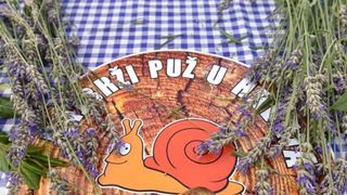 U sklopu Benkovackog kulturnog ljeta Grad Benkovac i Turisticka zajednica Grada Benkovca vec cetvrtu godinu za redom organiziraju manifestaciju Puzevim korakom. Radi se o gastro manifestaciji pripreme i degustacije puzeva. Posjetitelji su imali prilike d U sklopu Benkovackog kulturnog ljeta Grad Benkovac i Turisticka zajednica Grada Benkovca vec cetvrtu godinu za redom organiziraju manifestaciju Puzevim korakom. Radi se o gastro manifestaciji pripreme i degustacije puzeva. Posjetitelji su imali prilike d