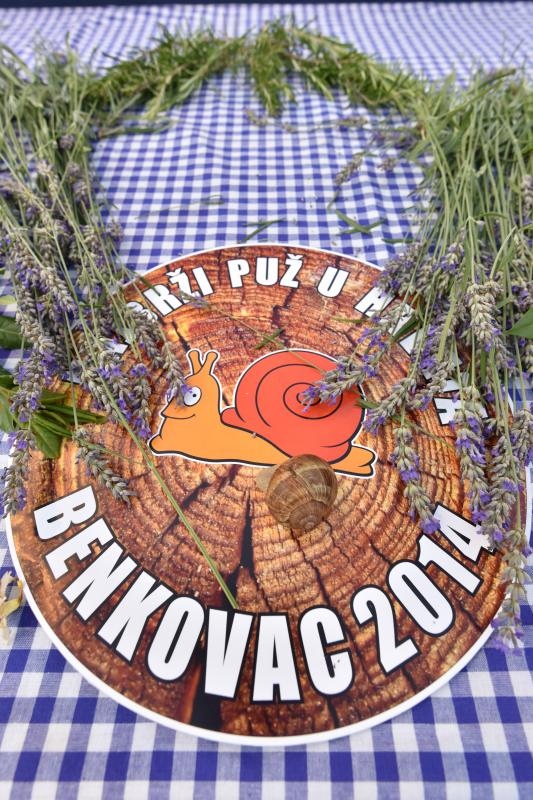 U sklopu Benkovackog kulturnog ljeta Grad Benkovac i Turisticka zajednica Grada Benkovca vec cetvrtu godinu za redom organiziraju manifestaciju Puzevim korakom. Radi se o gastro manifestaciji pripreme i degustacije puzeva. Posjetitelji su imali prilike d U sklopu Benkovackog kulturnog ljeta Grad Benkovac i Turisticka zajednica Grada Benkovca vec cetvrtu godinu za redom organiziraju manifestaciju Puzevim korakom. Radi se o gastro manifestaciji pripreme i degustacije puzeva. Posjetitelji su imali prilike d