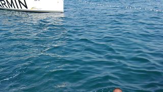 Održan 43. Plivački maraton Preko-Zadar Održan 43. Plivački maraton Preko-Zadar