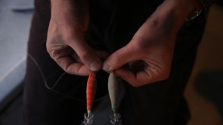 22.12.2013., Zadar – Neobicno toplo vrijeme za prve dane zime dodatni je poticaj za otisnuti se na more i uloviti koju lignju za Badnju vecer. Iako zbog oseke gotovo da nisu mogli isploviti, dva Privlacanca na nedjeljno poslijepodne udaljila su se od ob