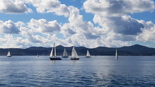 Zadarska Koka 2016. 22. listopada 2016. Foto: Mladen Malik Zadarska Koka 2016. 22. listopada 2016. Foto: Mladen Malik