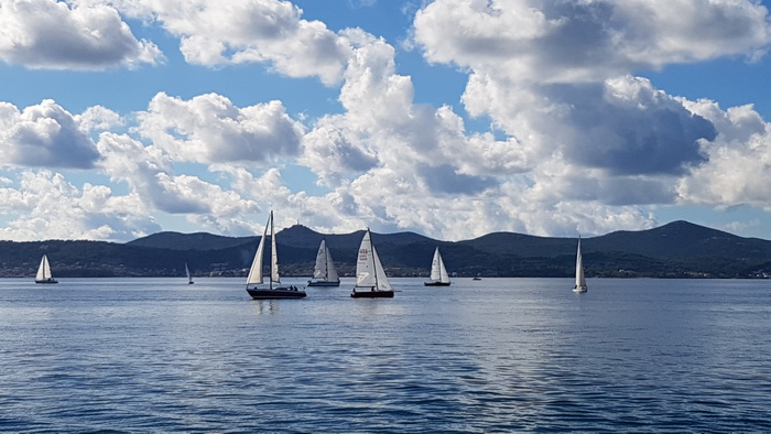 Zadarska Koka 2016. 22. listopada 2016. Foto: Mladen Malik Zadarska Koka 2016. 22. listopada 2016. Foto: Mladen Malik