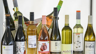 U Bedenici svečano otvoren prvi Eco-Wine Fest uz koncerte Vatre i Soul Fingersa
