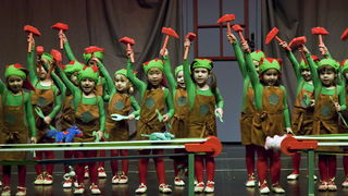 HNK Zadar: HNK Zadar: