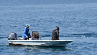 4. Dive In festival zapoceo je danas na rivi. Akcija ciscenja podmorja. Photo: Dino Stanin/PIXSELL