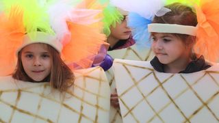 Virski Karnevalić 2017.