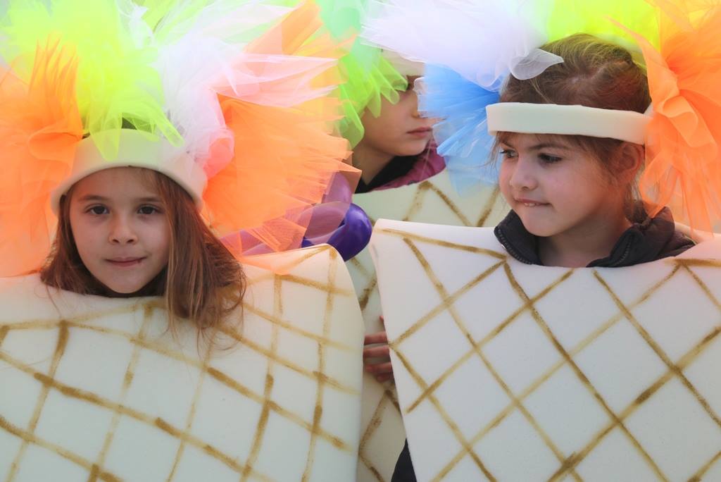 Virski Karnevalić 2017.