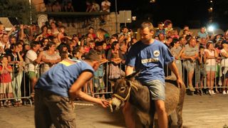 Tisno: 7. Međunarodna trka tovarov, Foto: Edin Kadić Tisno: 7. Međunarodna trka tovarov, Foto: Edin Kadić