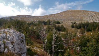 Svilaja, 18 rujna 2010