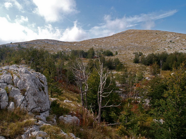 Svilaja, 18 rujna 2010