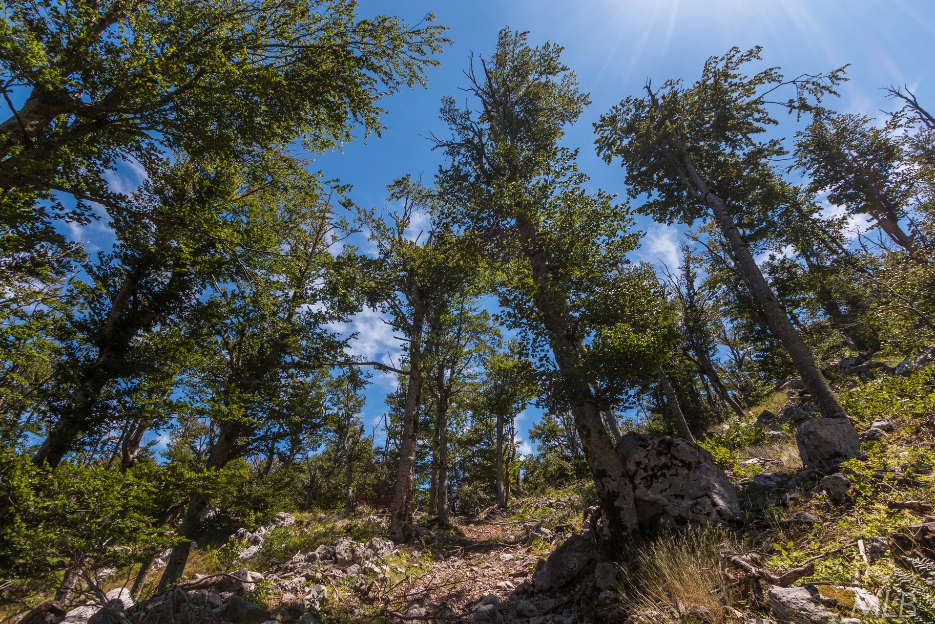 Simpatična galerija koja prikazuje životinjsku farmu na najvišem južnom vrhu Velebita – Crnopcu Simpatična galerija koja prikazuje životinjsku farmu na najvišem južnom vrhu Velebita – Crnopcu