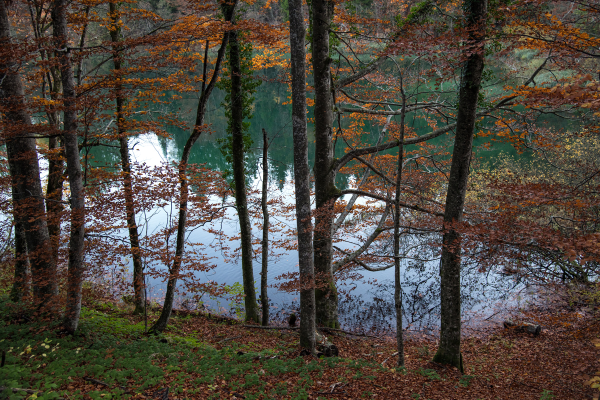 Boje jeseni na Plitvičkim jezerima