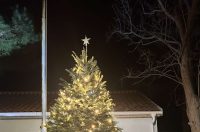 bozicne jelke bozicna drvca jelka drvce na otocima blagdani zadarski otoci bozicne jelke bozicna drvca jelka drvce na otocima blagdani zadarski otoci