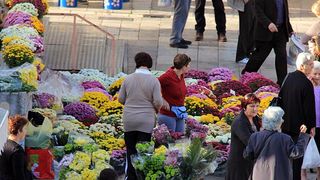 Započela prodaja cvijeća na zadarskoj tržnici, foto-I. Perinčić Započela prodaja cvijeća na zadarskoj tržnici, foto-I. Perinčić