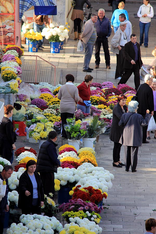 Započela prodaja cvijeća na zadarskoj tržnici, foto-I. Perinčić Započela prodaja cvijeća na zadarskoj tržnici, foto-I. Perinčić