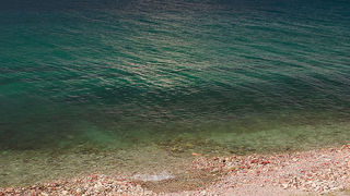 Image 1194601 (auto)