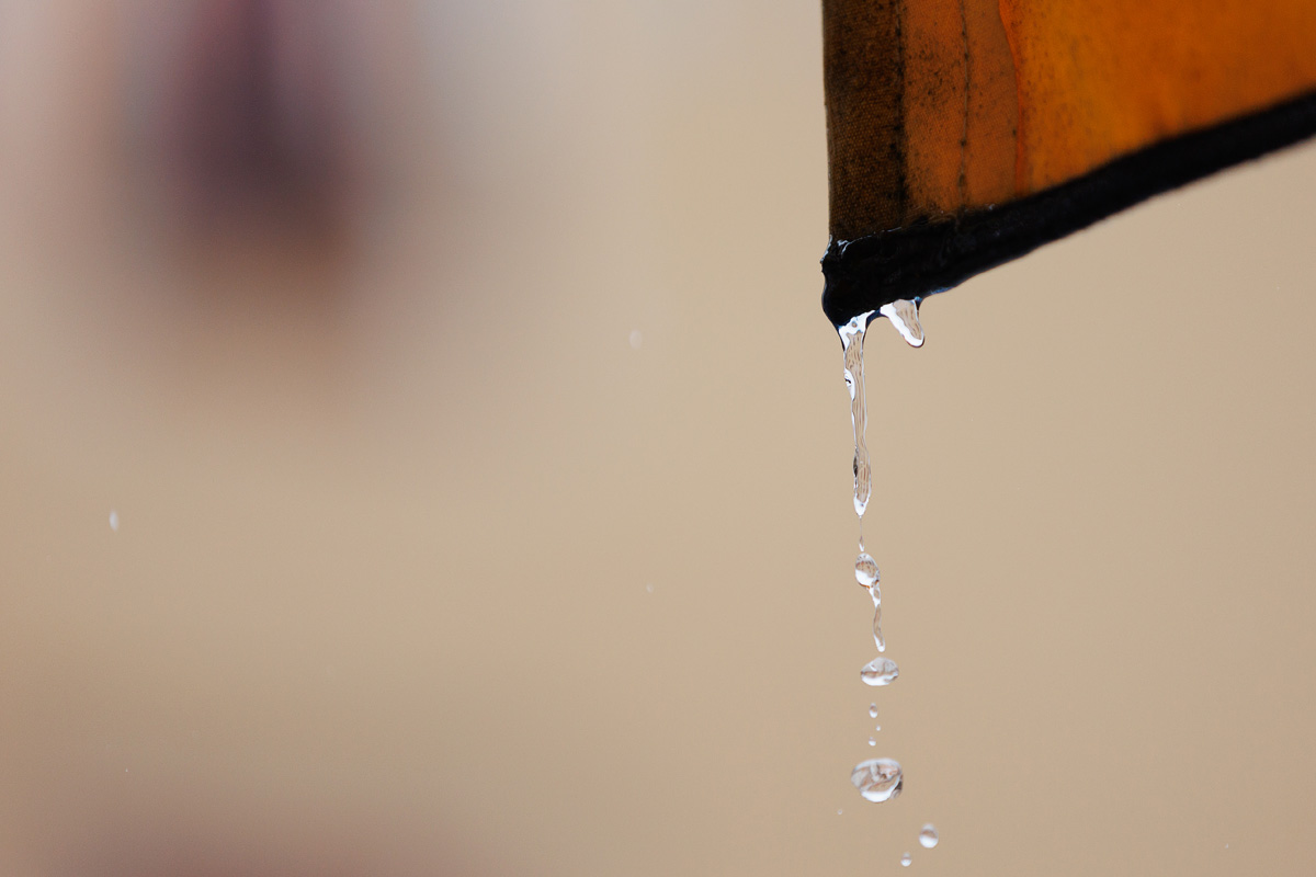 Đir po gradu, 25. veljače 2025. Đir po gradu, 25. veljače 2025.