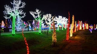 Dva milijuna lampica za božićnu čaroliju na imanju Salaj