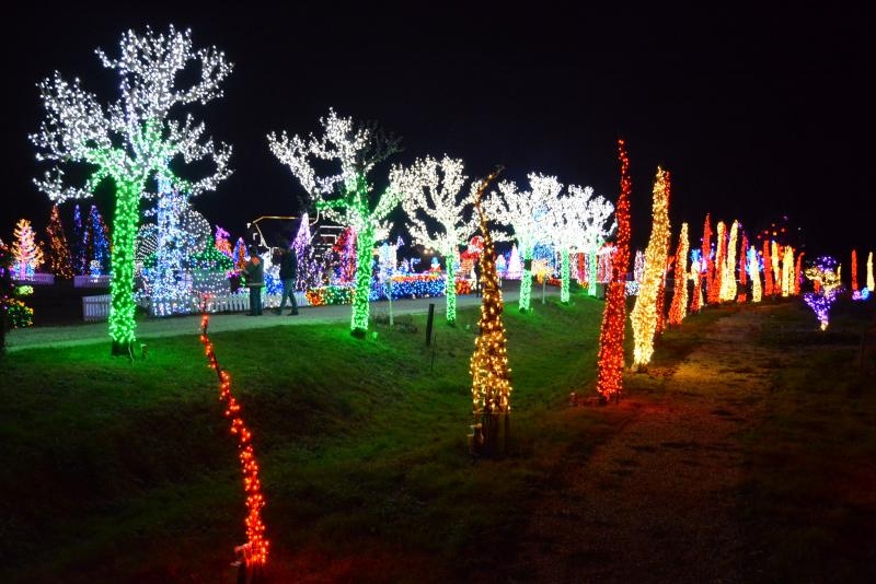 Dva milijuna lampica za božićnu čaroliju na imanju Salaj