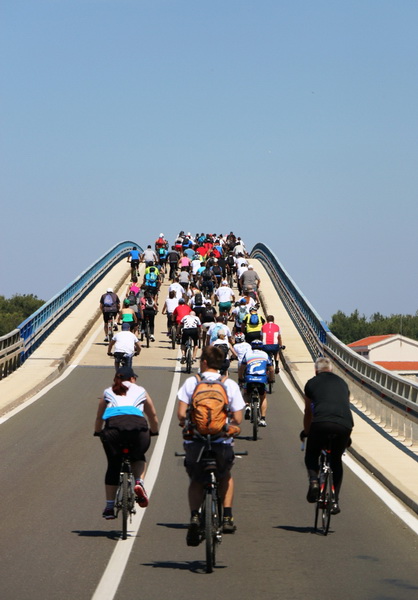 17. Virska biciklijada: 498 biciklista feštalo na Viru 17. Virska biciklijada: 498 biciklista feštalo na Viru