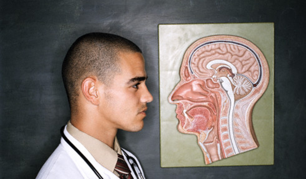 Koliko se muški mozak razlikuje od ženskog (Tportal.hr)