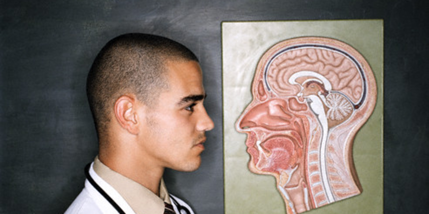 Koliko se muški mozak razlikuje od ženskog (Tportal.hr) Koliko se muški mozak razlikuje od ženskog (Tportal.hr)