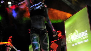 Papaya: Tuborg Green Beat festival 7.kolovoza 2008.