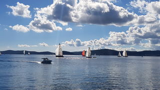 Zadarska Koka 2016. 22. listopada 2016. Foto: Mladen Malik Zadarska Koka 2016. 22. listopada 2016. Foto: Mladen Malik