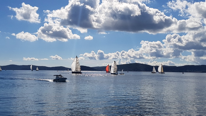 Zadarska Koka 2016. 22. listopada 2016. Foto: Mladen Malik Zadarska Koka 2016. 22. listopada 2016. Foto: Mladen Malik