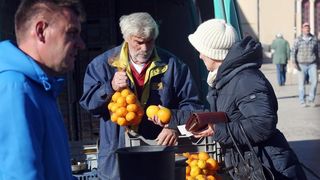 Mandarine na šibesnkoj