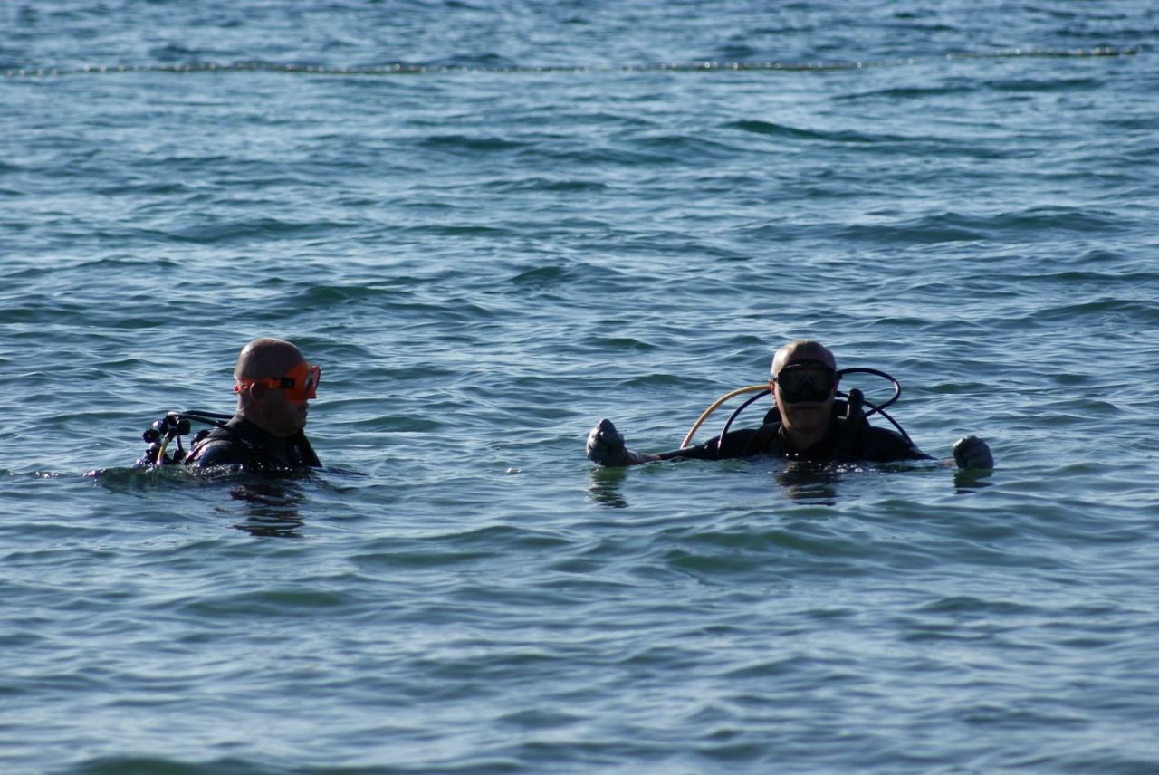 Eko Vir 2024.: Čišćenje podmorja u Radovanjici, Miljkovici i Prezidi Eko Vir 2024.: Čišćenje podmorja u Radovanjici, Miljkovici i Prezidi