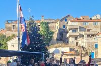 bozicne jelke bozicna drvca jelka drvce na otocima blagdani zadarski otoci bozicne jelke bozicna drvca jelka drvce na otocima blagdani zadarski otoci