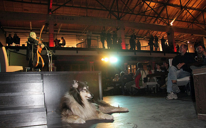 Ibrica Jusić u Arsenalu