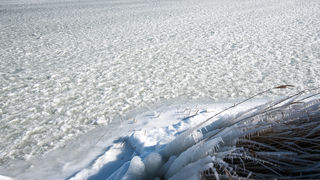 Debeli minusi i orkanska bura zaledili Vransko jezero Debeli minusi i orkanska bura zaledili Vransko jezero