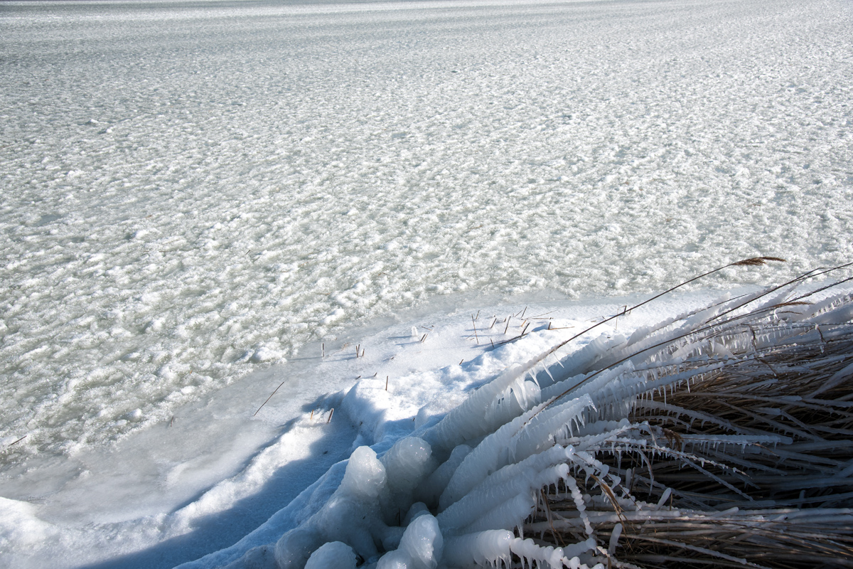 Debeli minusi i orkanska bura zaledili Vransko jezero Debeli minusi i orkanska bura zaledili Vransko jezero