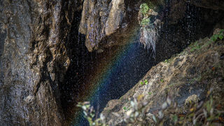 Boje jeseni na Plitvičkim jezerima