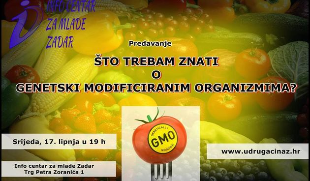 Što trebam znati o genetski modificiranim organizmima?