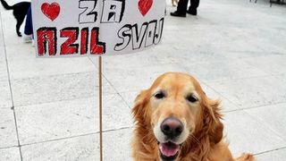 Skup podrške za NO KILL skloništa za životinje,  foto Iva Perinčić