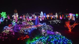 Božićna priča obitelji Salaj s rekordnih 1,88 milijuna lampica. Foto: Damir Špehar/PIXSELL