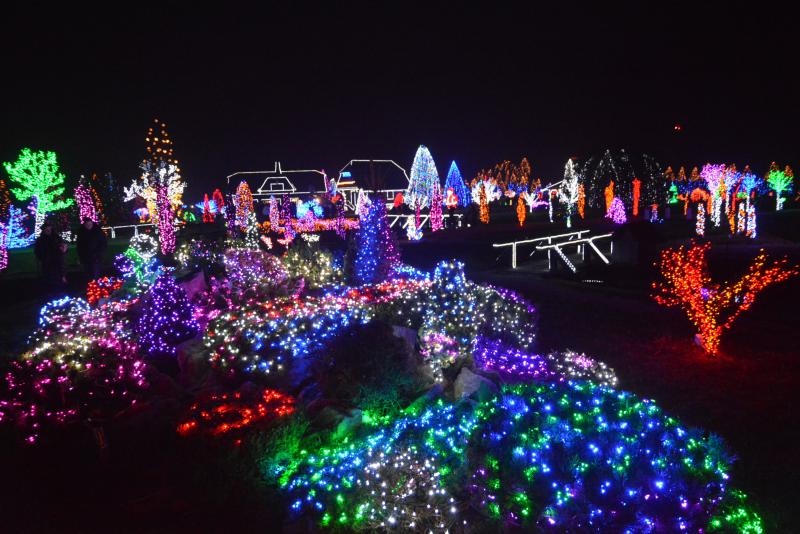 Božićna priča obitelji Salaj s rekordnih 1,88 milijuna lampica. Foto: Damir Špehar/PIXSELL