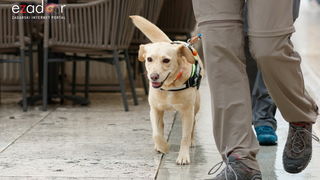 Đir po gradu, srijeda 29. svibnja 2019. Đir po gradu, srijeda 29. svibnja 2019.