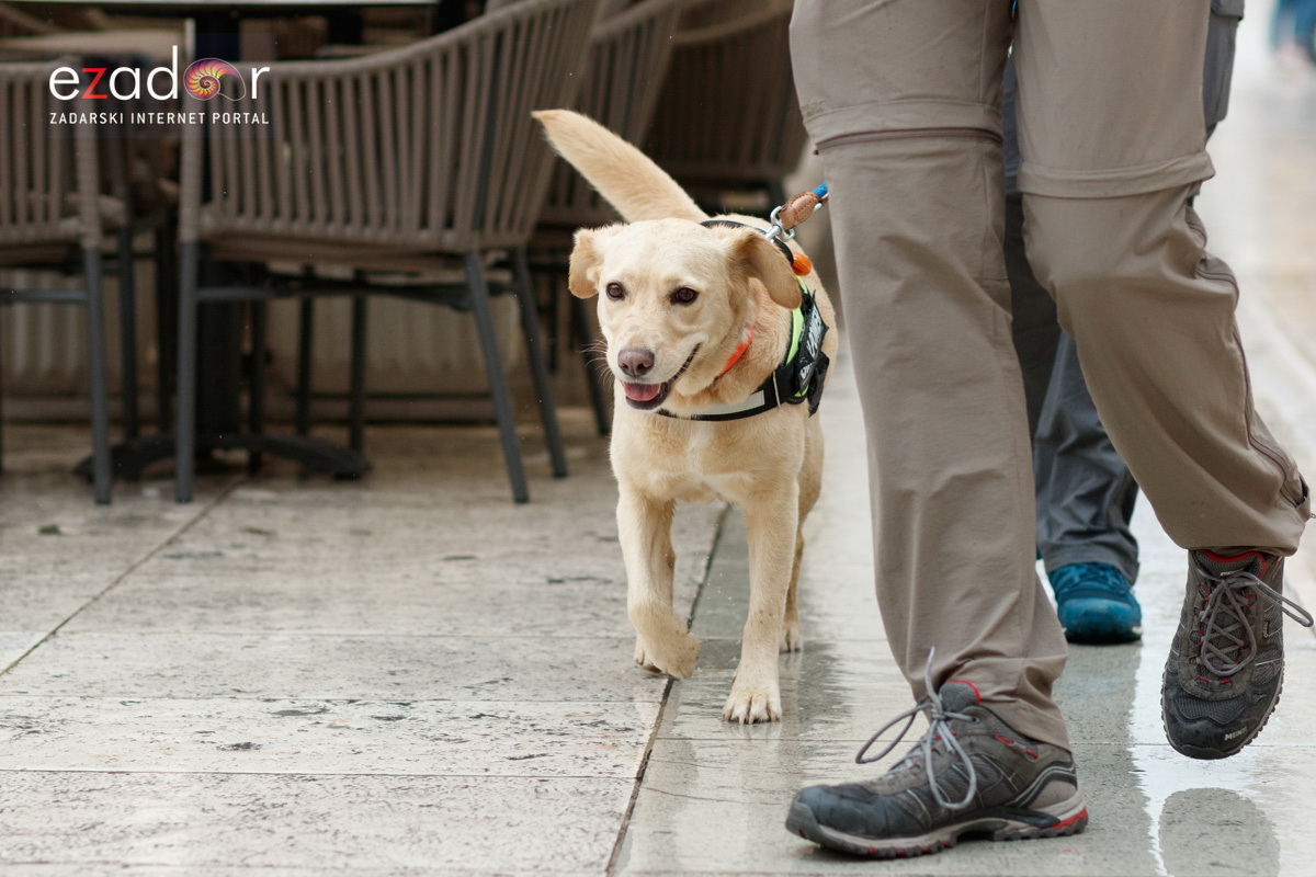 Đir po gradu, srijeda 29. svibnja 2019. Đir po gradu, srijeda 29. svibnja 2019.