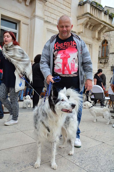 Skup podrške za NO KILL skloništa za životinje,  foto Iva Perinčić
