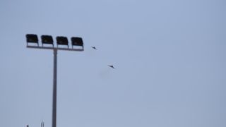 Preleti Rafalea i Krila oluje na obilježavanju 29. obljetnice VRO Oluja @ Knin Preleti Rafalea i Krila oluje na obilježavanju 29. obljetnice VRO Oluja @ Knin